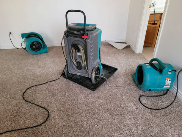 Best Residential water damage restoration  in Bensville, MD