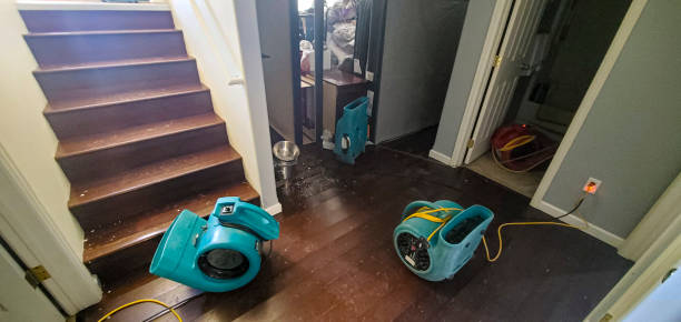 Best Commercial water damage restoration  in Bensville, MD