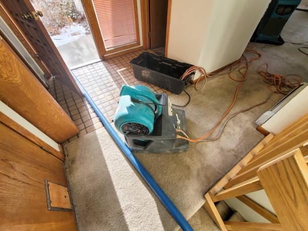 Best Flood damage cleanup  in Bensville, MD