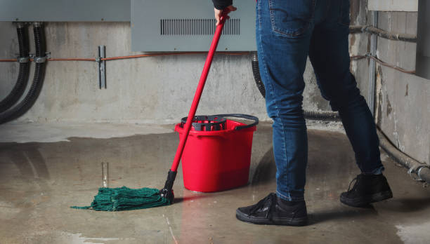 Best Flood restoration services  in Bensville, MD