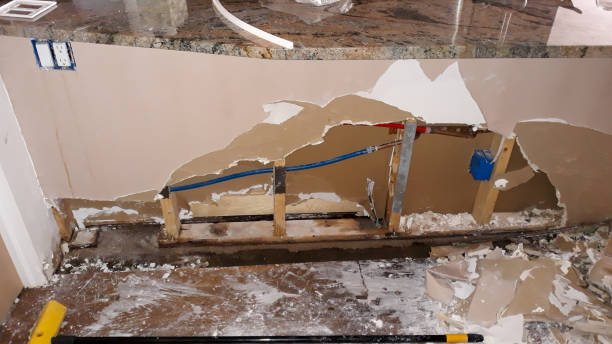 Best Flood damage cleanup  in Bensville, MD