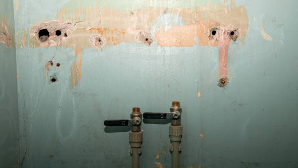 Professional Water damage restoration in Bensville, MD